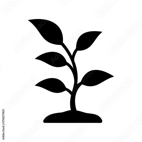 Silhouette of a young plant growing in soil, symbolizing growth and nature