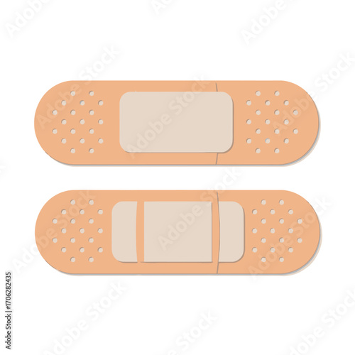 Medical illustration of two identical biological structures