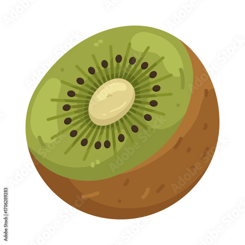Illustration of half a fresh and delicious kiwi fruit