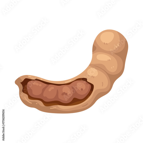Illustration of tamarind fruit with the skin half peeled