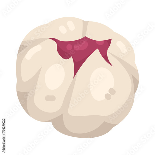 Illustration of Tasmanian Snow Berry
