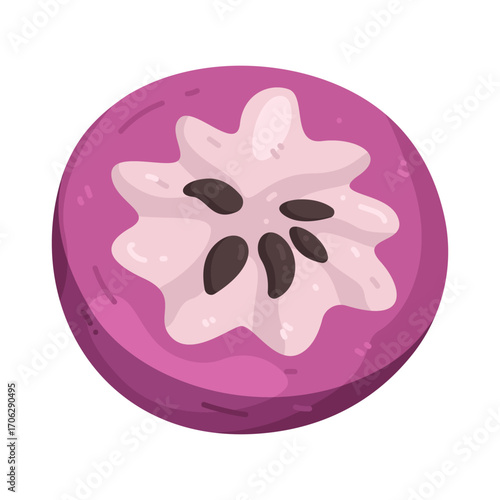Illustration of Purple Star Apple Fruit