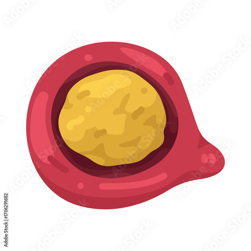 illustration of Half Quandong Fruit