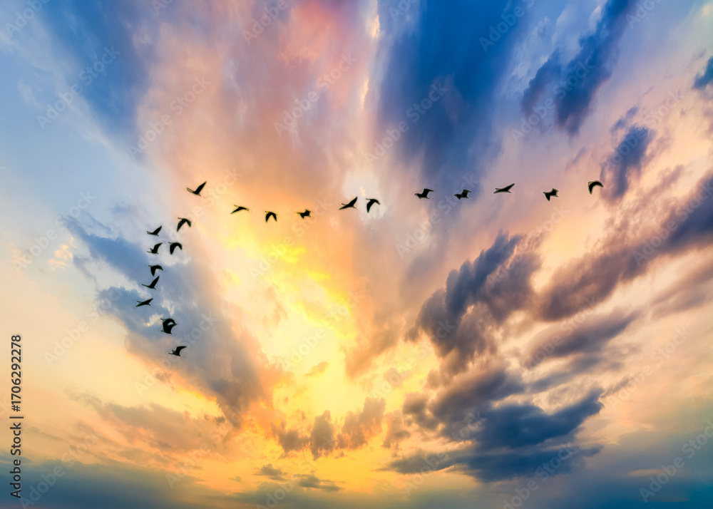 Obraz premium birds flying in the sunset in formation