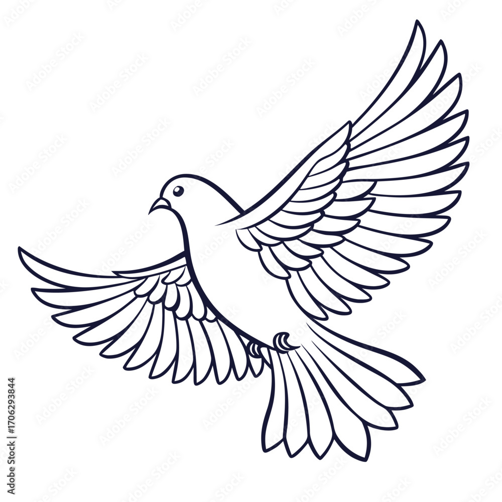 Fototapeta premium Outline drawing of a dove in flight with wings spread wide bird flying