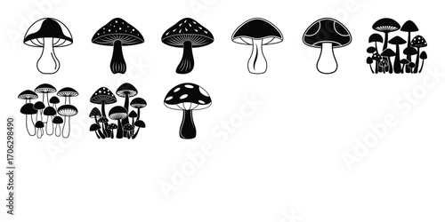  Black and White Mushroom Collection Vector Illustration of Various Fungi for Design