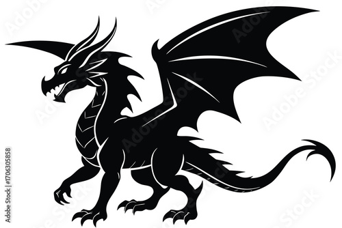 shadow dragon vector art