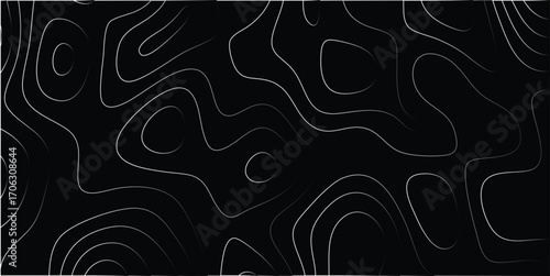 Abstract topographic contour map lines pattern in white and black gradient, representing elevation changes and terrain forms, ideal for science and geography backgrounds
