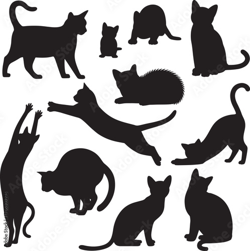playful cat silhouette in various poses. cat vector are Perfect for pet themed vector illustrations. Captures the essence of feline behavior and movement