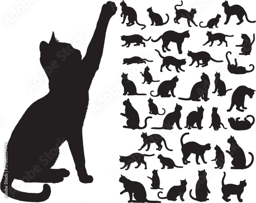vector isolated silhouette cat set