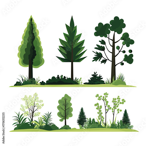 Flat minimalist vector illustration of diverse stylized forest trees and green shrubs with grass isolated on white background in natural landscape design