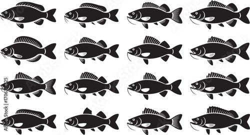 Black carp fish silhouettes white background aquatic life