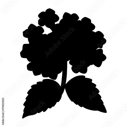 Silhouette of hydrangea flower cluster with leaves-Black silhouette illustration of a hydrangea flower cluster with broad serrated leaves, isolated on white background for botanical or decorative desi