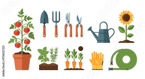 Illustration showing gardening tools and plants including tomatoes and carrots