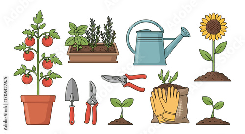 Illustration of gardening tools and plants including tomatoes and sunflower pot