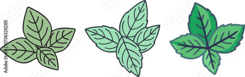 Stylized mint leaves illustration set in varying shades of light green