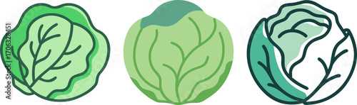 cabbages in different green tones and outlines