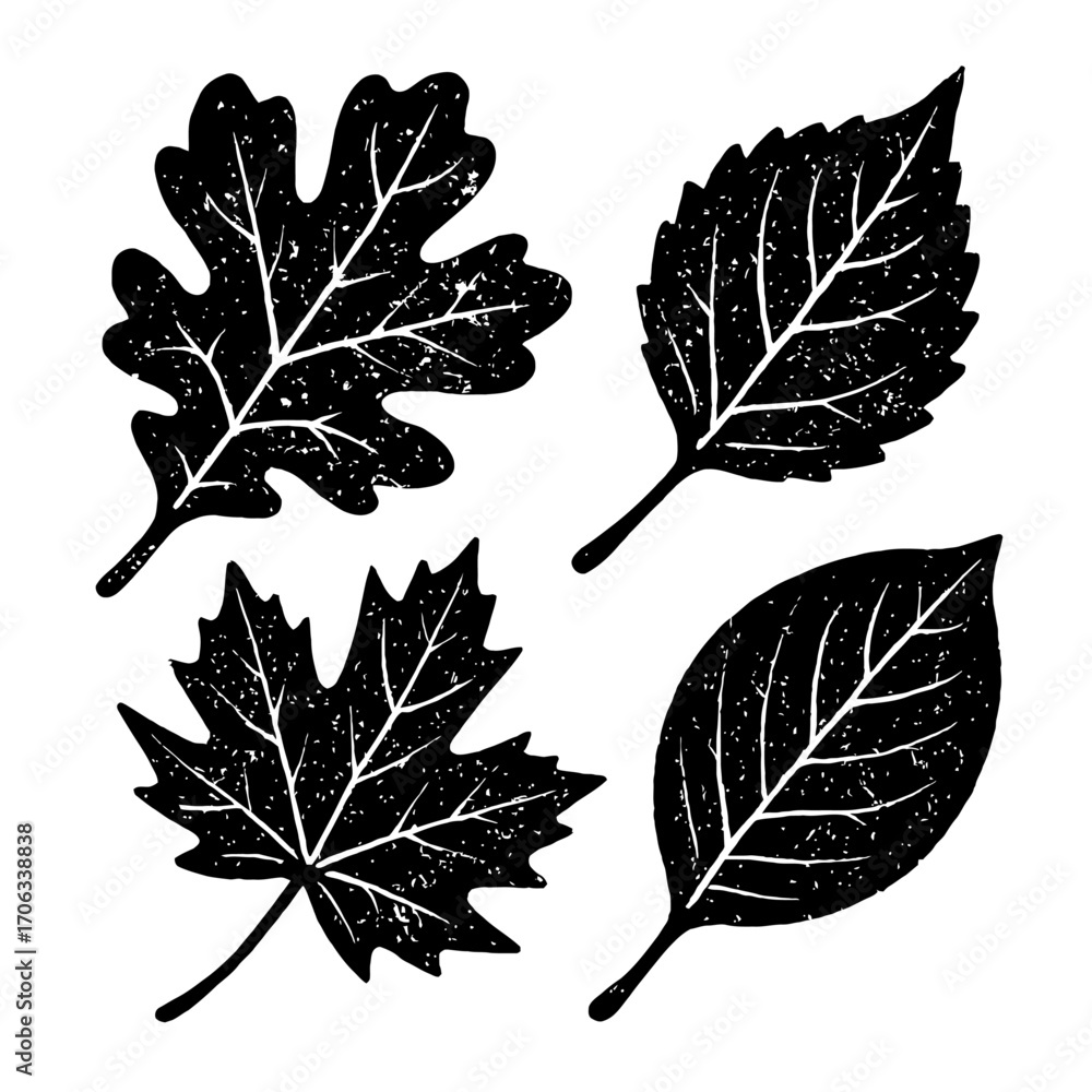 Stylized black vector illustration showcasing a unique collection of four distinct deciduous tree leaves: oak, maple, elm, and beech. Features a distressed grunge texture, crisp white veins, and a mon
