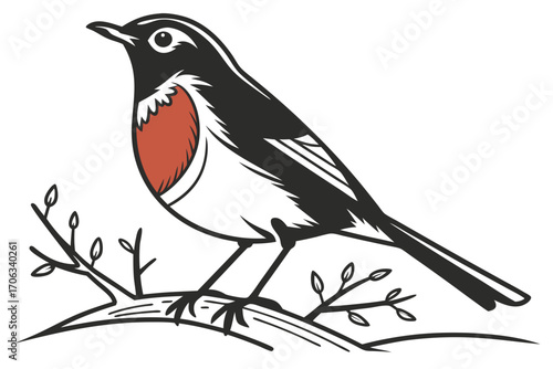 European robin silhouette or mascot logo, black and white bird design