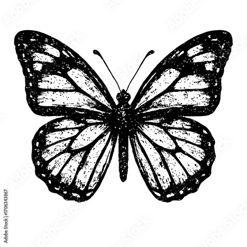 Exquisite Vintage Black and White Butterfly Illustration: Detailed Hand-Drawn Engraving Style Insect Art with Elegant Wings for Nature, Design, and Decorative Projects, Symbolizing Freedom and Transfo