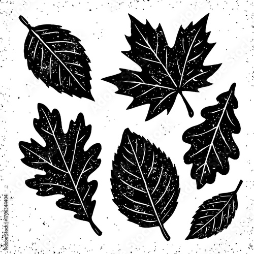 Distressed black and white linocut style illustration of various autumn leaves, including distinct maple and oak shapes, featuring intricate white vein details and a speckled grunge texture, perfect f