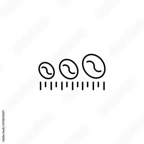 coffee bean quality check icon sign vector