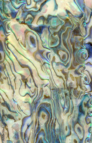 Macro photo of multicolored cockleshell texture background