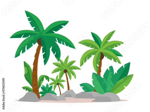 palm tree on white background