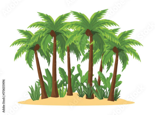 tropical palm tree