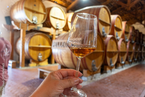 Visit of wine cellar with old large oak barrels, hand holding glass of fortified dry or sweet tasty marsala wine from barrels in Marsala, Sicily, Italy