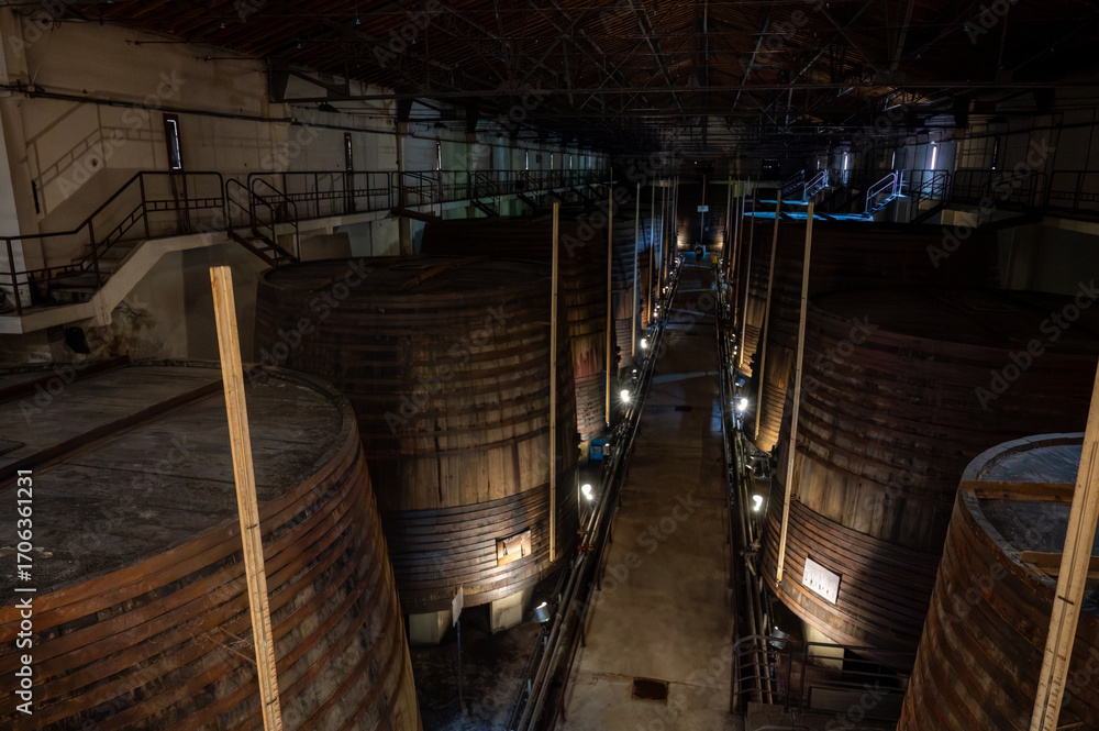 Fototapeta premium Old oak barrels for aging of natural sweet red grand cru wine Banyuls fortified dessert wine from old vines from slopes of the Catalan Pyrenees in Roussillon, France.