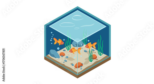 Isometric aquarium with goldfish and plants in a 3d geometric glass tank