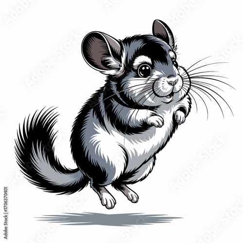 Jumping Chinchilla Vector Illustration