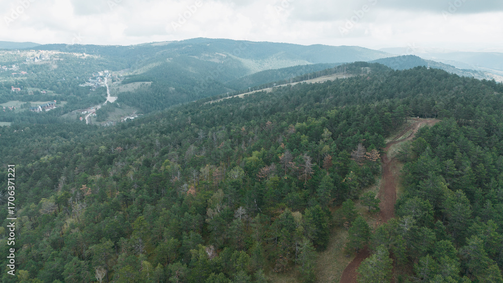 Fototapeta premium Aerial view of a forest trail winding through the green hills and ski slopes at the distance. Divcibare, Serbia
