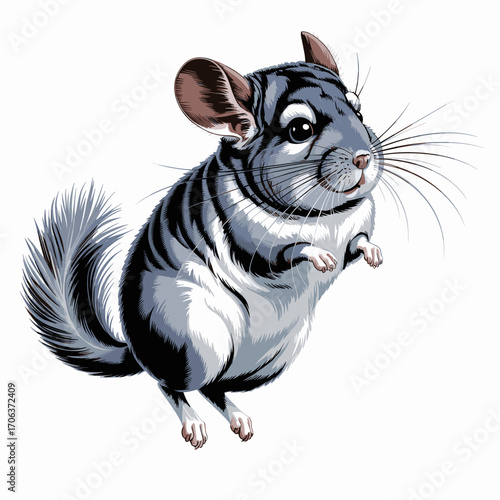 Jumping Chinchilla Vector Illustration