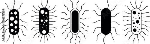 This image displays four different representations of bacterial cells.