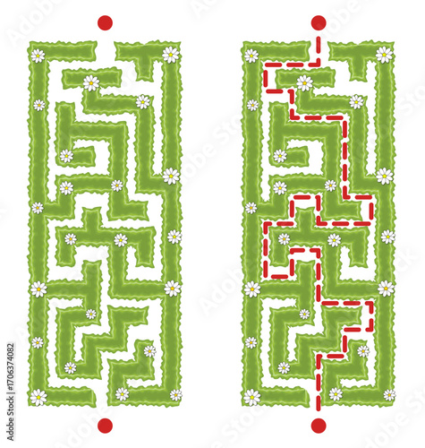 Green vertical hedge maze vector Illustration. Top view of the open air rectangular labyrinth made of garden bushes and grass. Education logic game for kids isolated on white.