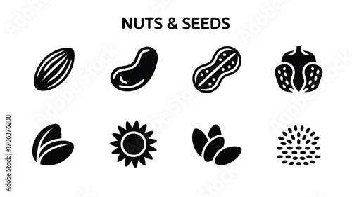 A Collection of Diverse Icons Representing Various Nuts and Seeds Including a Peanut and Sunflower Seed Illustration