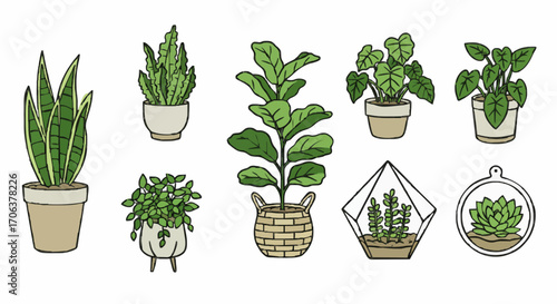 Icon set indoor plants