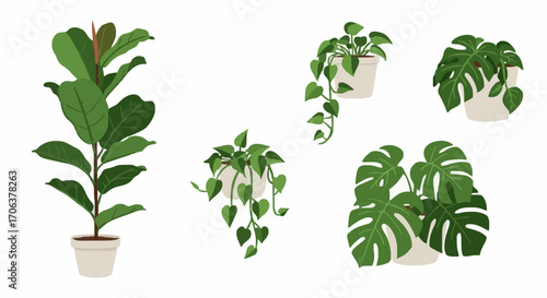 Icon set indoor plants