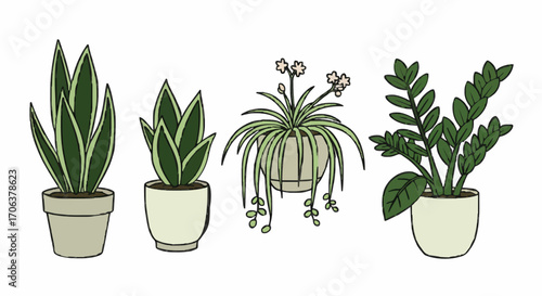 Icon set indoor plants