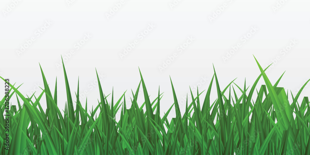 Fototapeta premium Fresh green grass field border natural sunlight texture seamless background for outdoor scenes isolated on white background