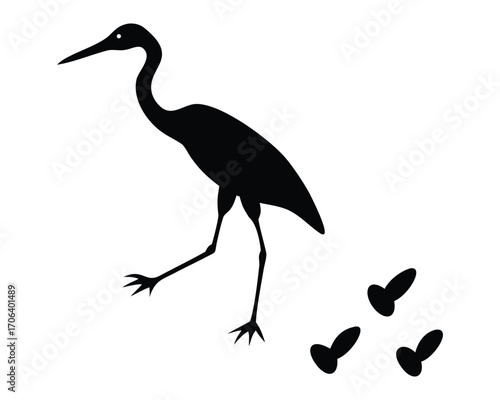 A solitary great blue heron stands gracefully on the wet sand of a beach at sunset, its grey feathers and long beak a striking silhouette against the colorful skyA solitary great blue heron stands gra