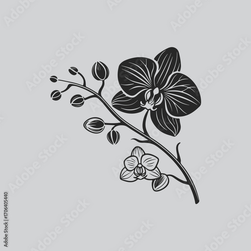 Elegant Orchid Bloom Minimalist Design