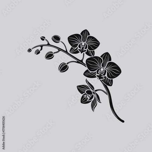 Graceful Orchid Blossom Vector Clipart