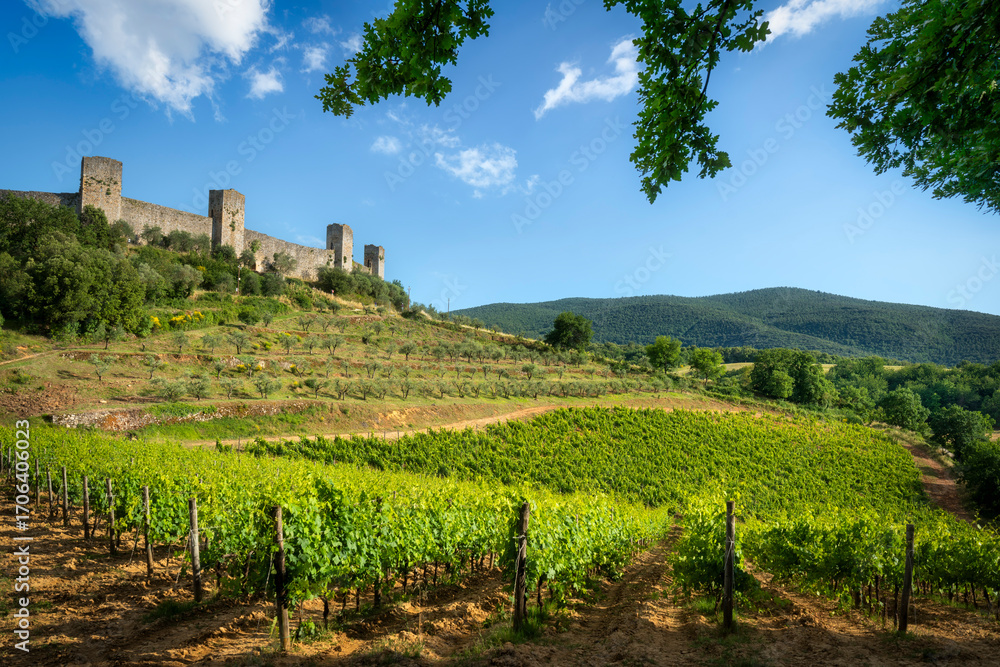 Obraz premium Monteriggioni medieval fortified village and vineyards, Siena, Tuscany, Italy