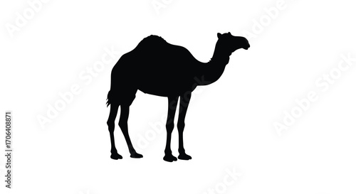 a silhouette of a camel standing alone in white space