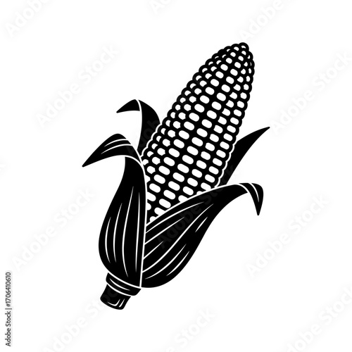 Illustration of an ear of corn with husks, , a staple food and a symbol of agriculture and healthy diet