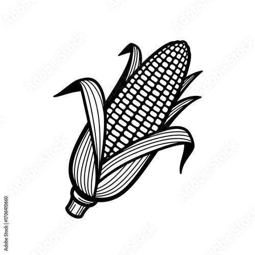 Vector art of detailed monochrome drawing of a single corn cob, highlighting the texture of the kernels and husk