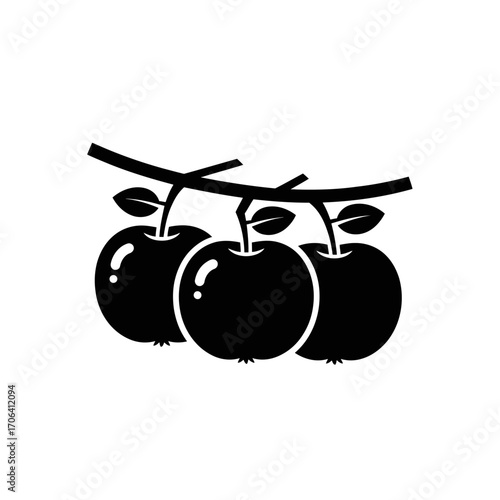 Vector art of three apples on a branch fresh, ripe fruits hanging from a tree, ready to be picked and enjoyed as a healthy snack